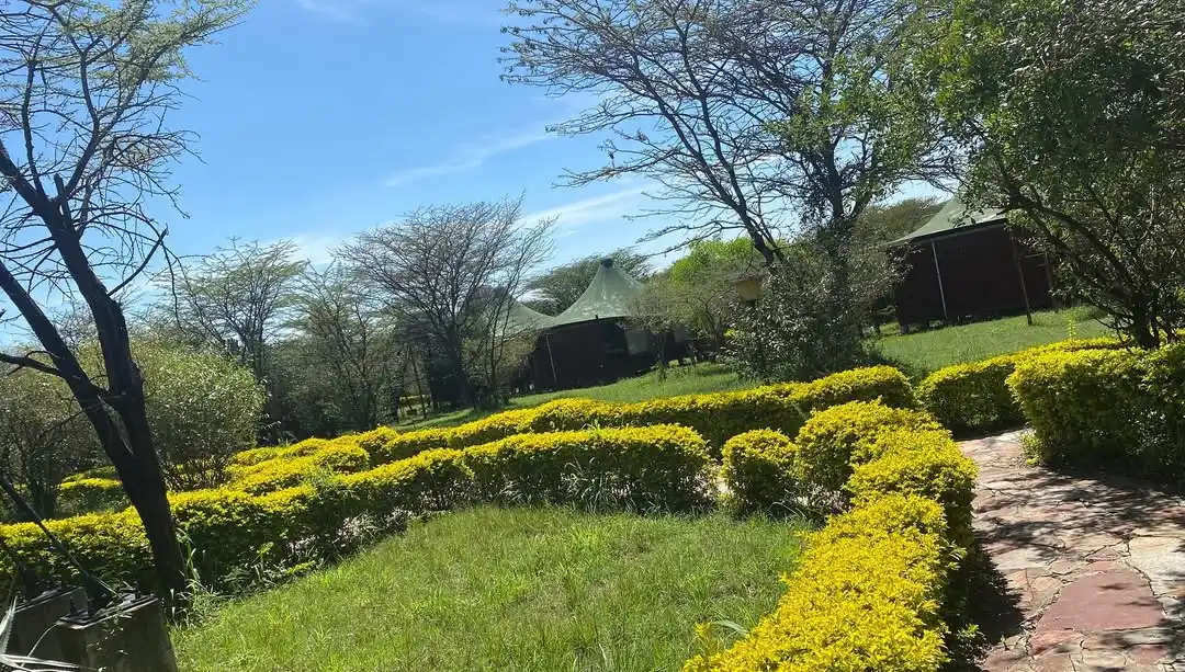 Aa Lodge Mara
